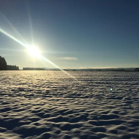 Du Plateau De *