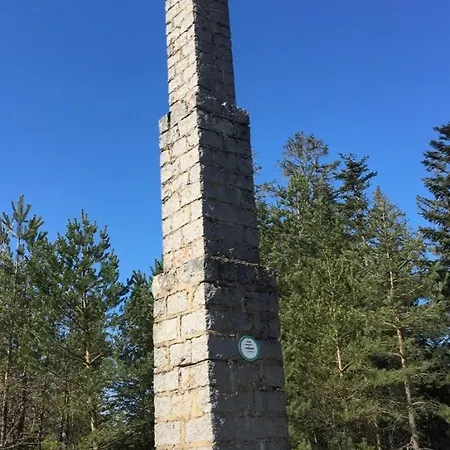 Du Plateau De Champdray